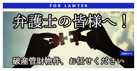 FOR LAWYER